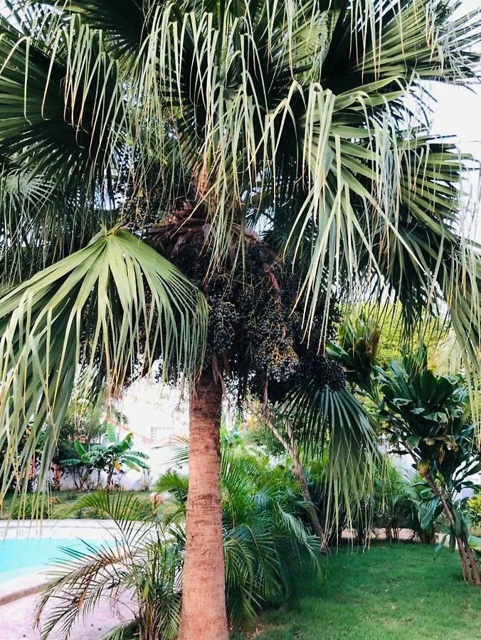 **  Hotel Carymar La Romana República Dominicana